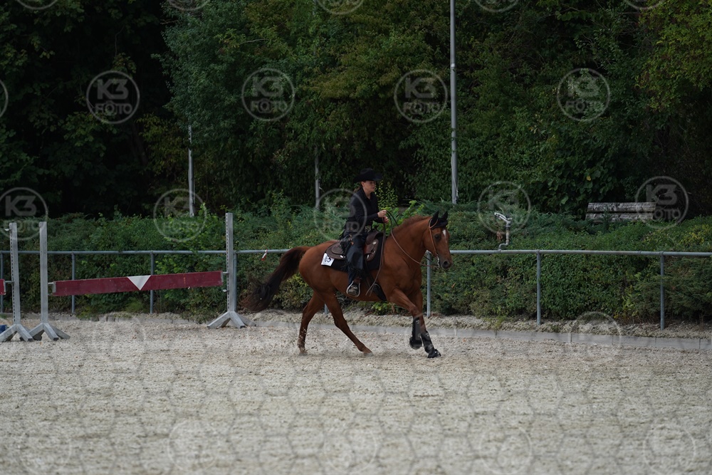 A9_01716.JPG